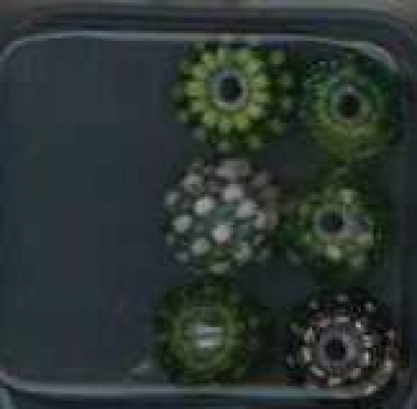 Glasperlen mit Rocailles bestickt grün